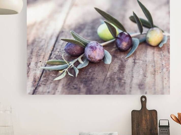 Green and black olive fruits branch by alex