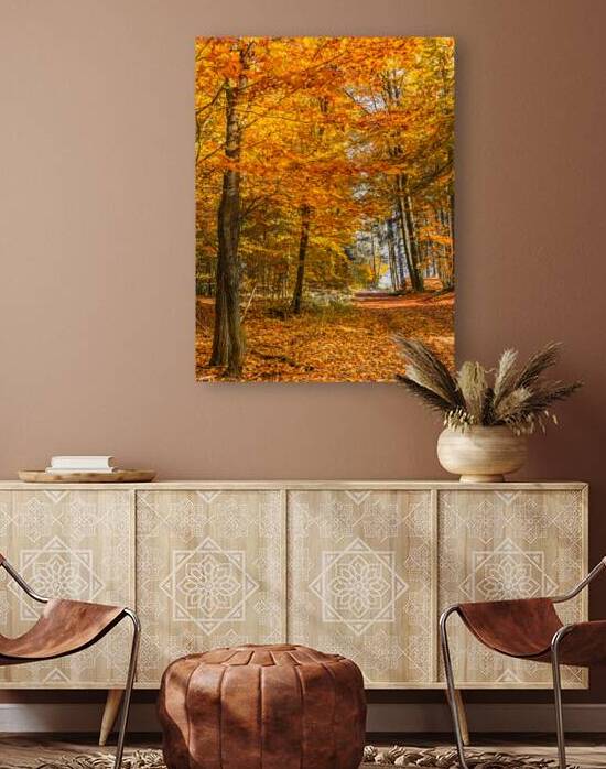 Trees with autumn colored leaves by alex
