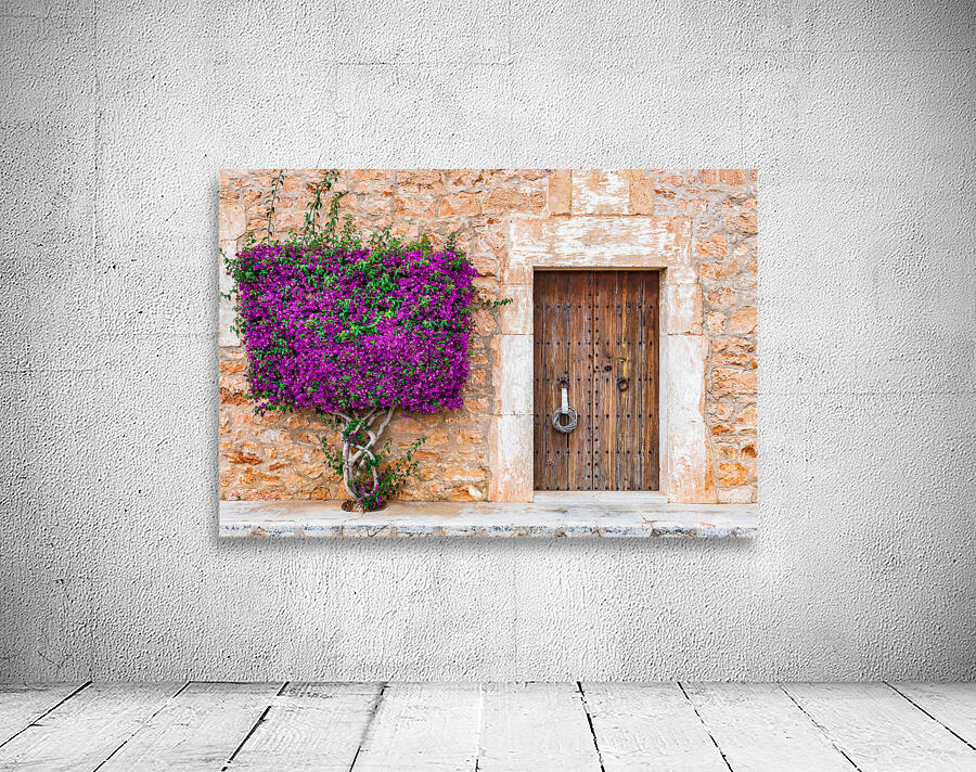 Old door with beautiful bougainvillea flowers Wall Preview