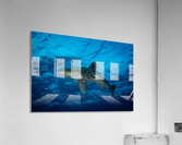 Oceanic Whitetip shark Acrylic Print