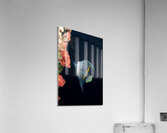 Yellowbar Angelfish Acrylic Print