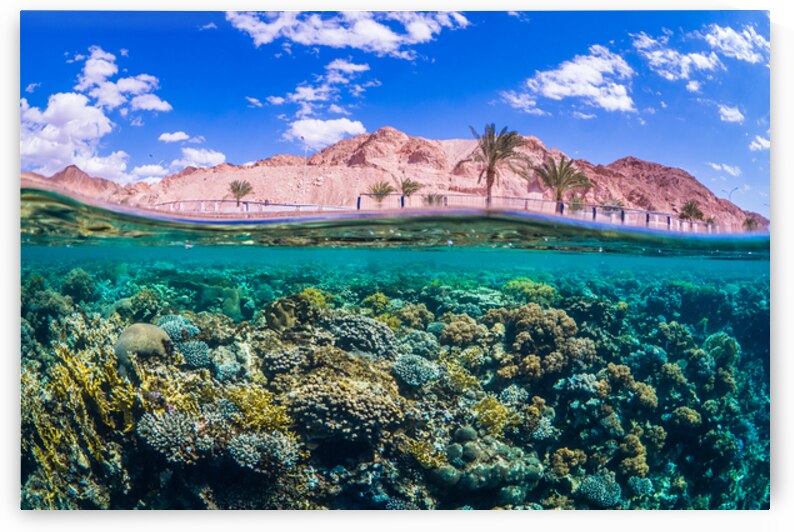 Aqaba coast split shot by Anthony Leydet