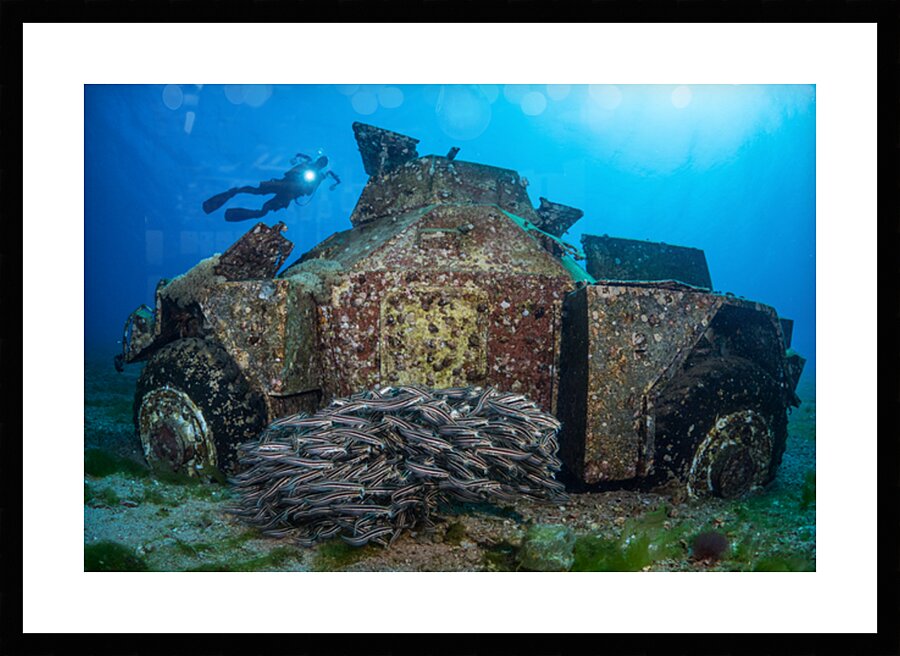 Armoured vehicle in the Underwater Military Museum - Jordan by Anthony Leydet