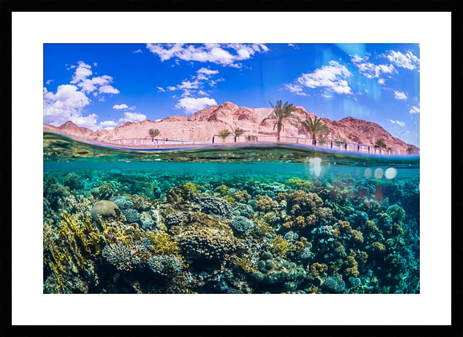 Aqaba coast split shot by Anthony Leydet