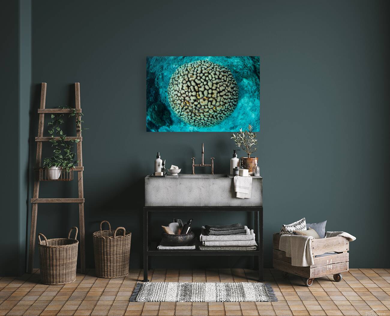 Head coral view Reproduction