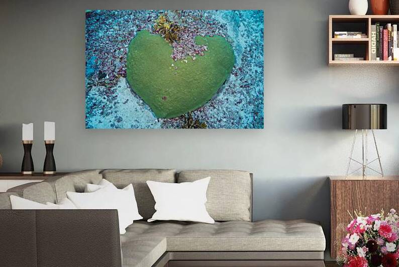 Coral Heart by Anthony Leydet