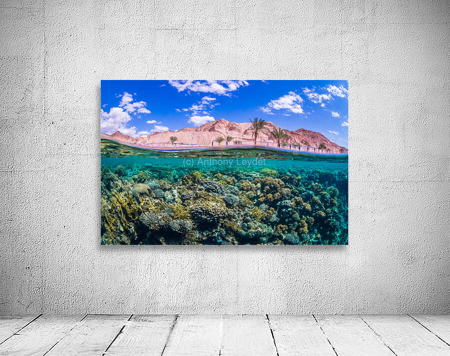 Aqaba coast split shot Wall Preview