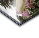 Nature Creates Acrylic print