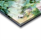 Green Ivy Acrylic print