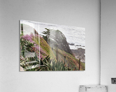 Nature Creates Acrylic Print