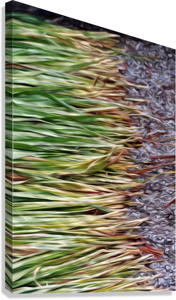 Cut Grass and Pebbles Canvas Print