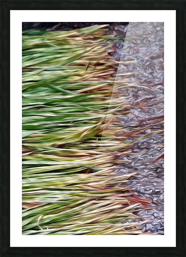 Cut Grass and Pebbles Picture Frame print
