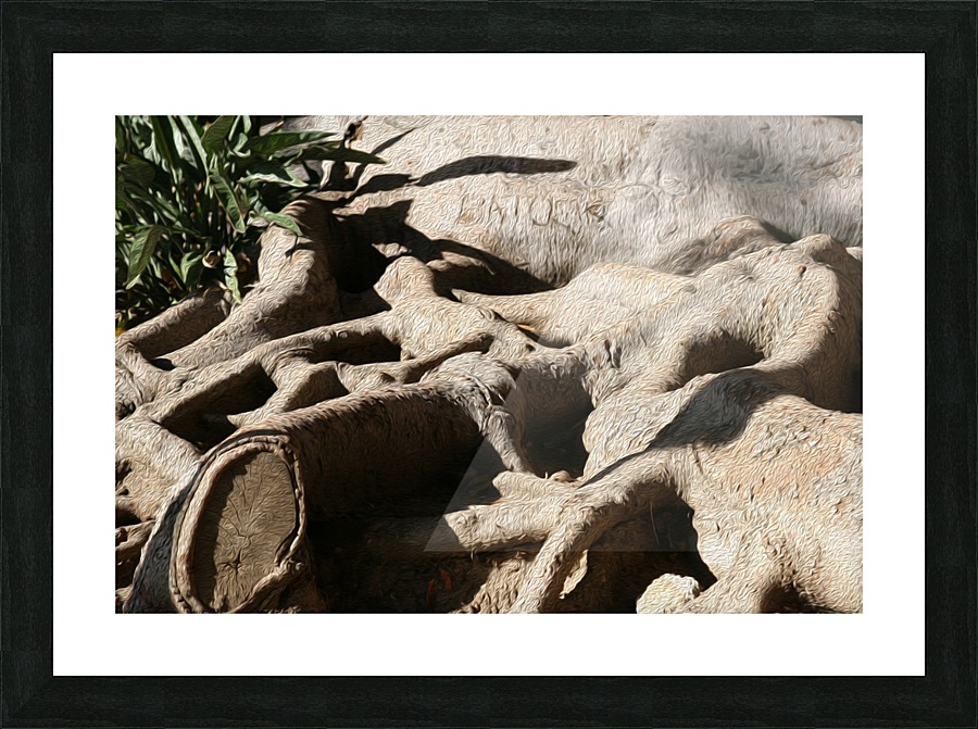 Signed Tree Roots Picture Frame print