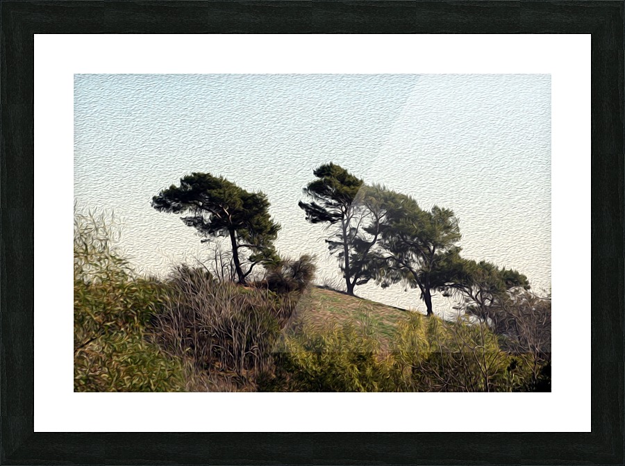Natural Wind Blown Trees Picture Frame print