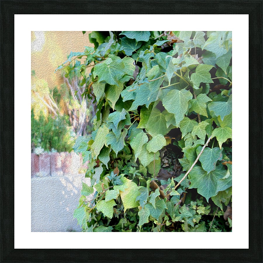 Green Ivy Picture Frame print