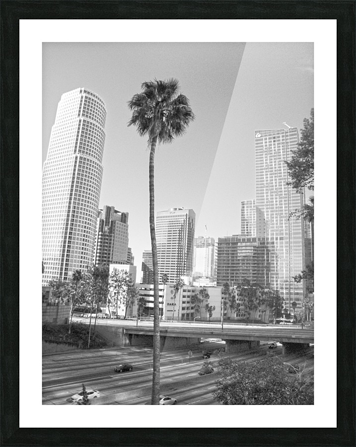 DTLA Palm Tree Picture Frame print