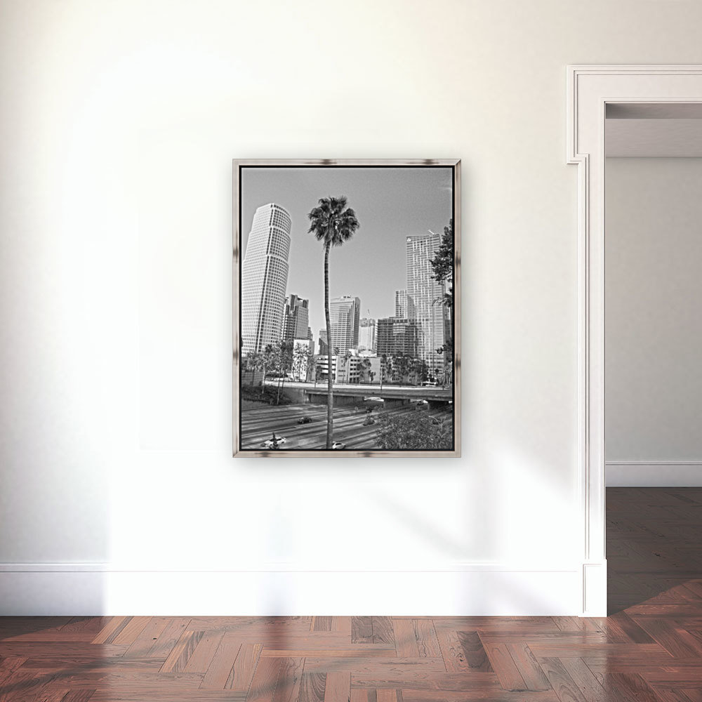 DTLA Palm Tree Reproduction