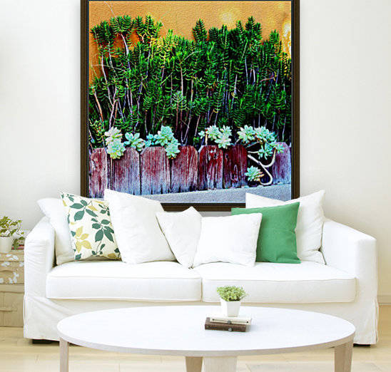 Wall of Succulents by Hold Still Photography
