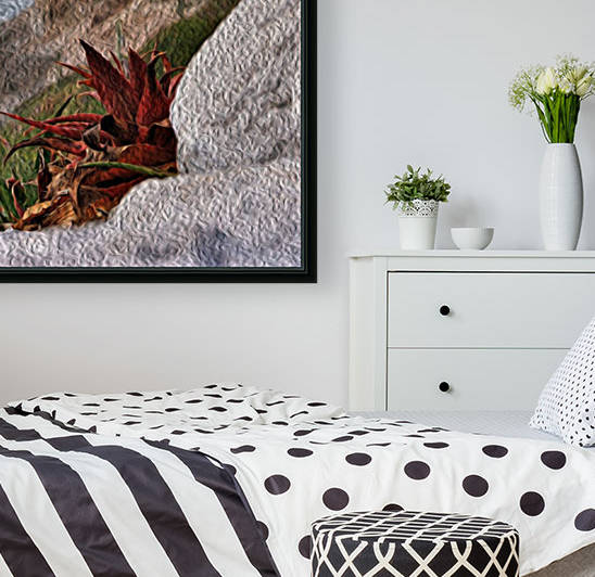 Coastal Red Aloe Vera  by Hold Still Photography
