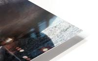 Hey Charlie  HD Metal print