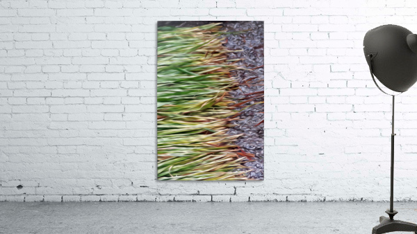 Cut Grass and Pebbles Wall Preview