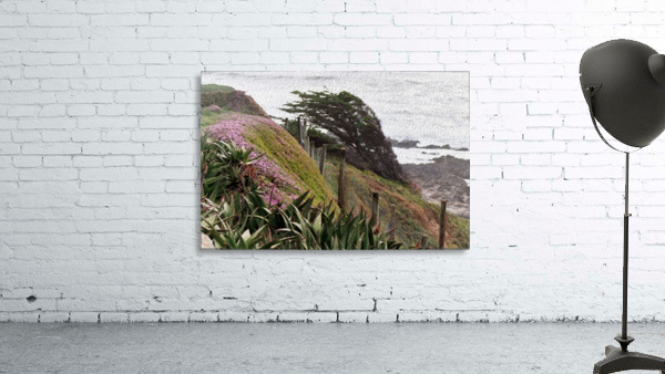Nature Creates Wall Preview