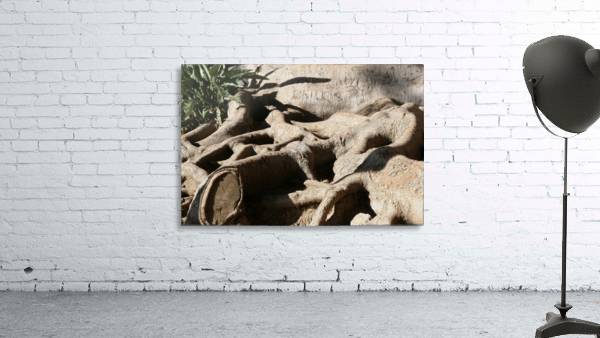 Signed Tree Roots Wall Preview