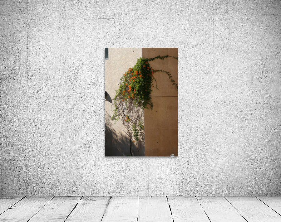 Wall Vines on Edge Wall Preview