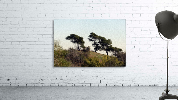 Natural Wind Blown Trees Wall Preview