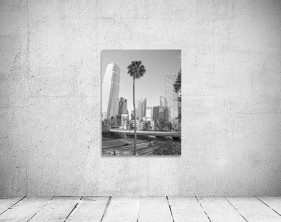 DTLA Palm Tree Wall Preview