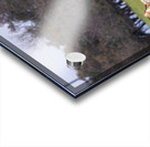 001088 Acrylic print