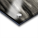 000667 Acrylic print