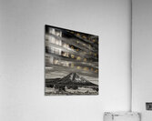 000667 Acrylic Print