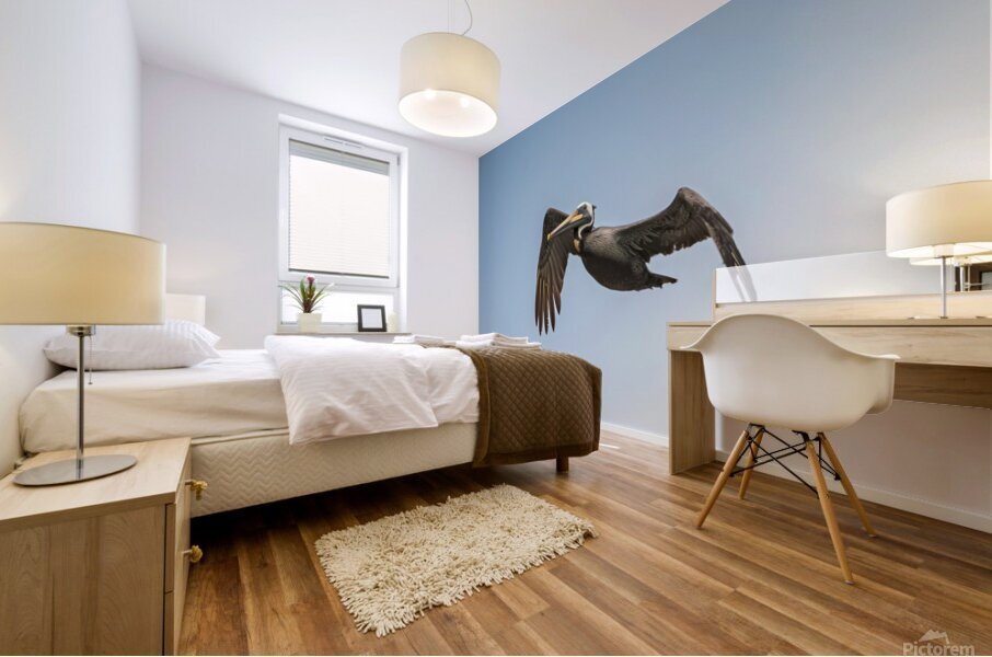 Pelican Blues 02 Mural print