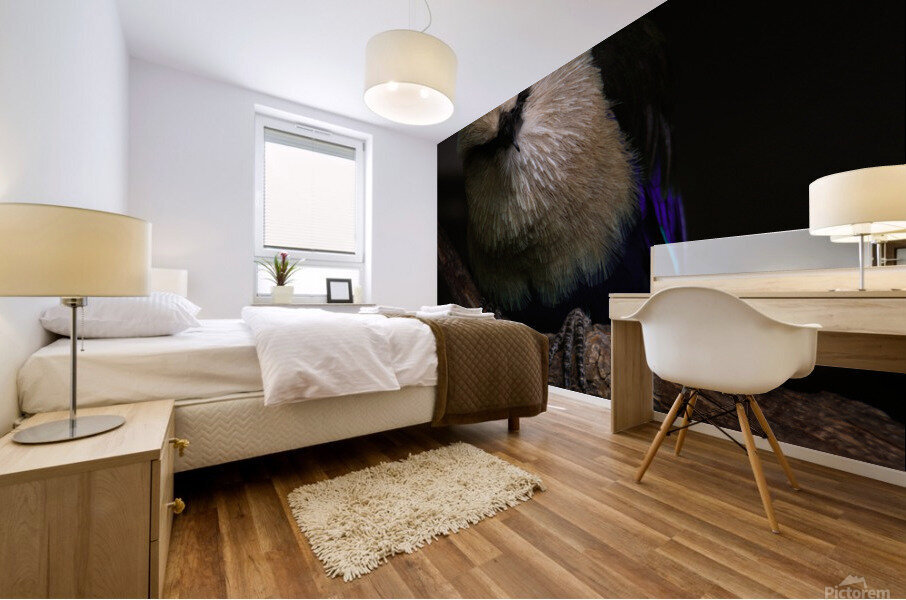 13 Mural print