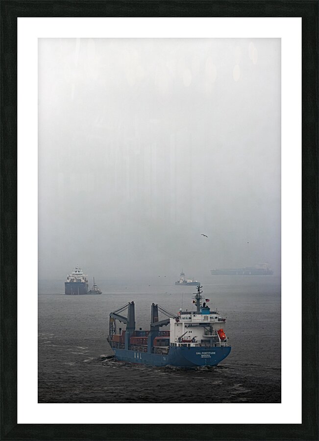 IMG 18650000 Picture Frame print