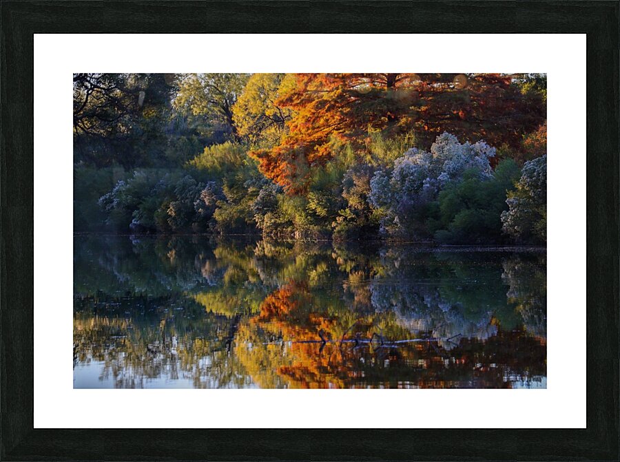 Mirrored Reflection Picture Frame print
