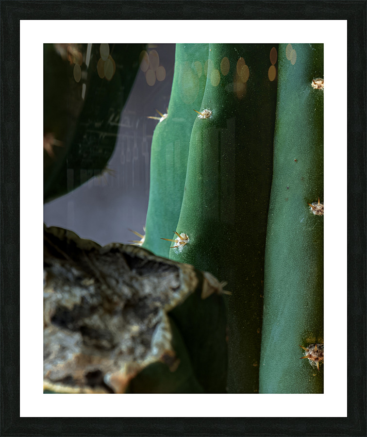 30102 Picture Frame print