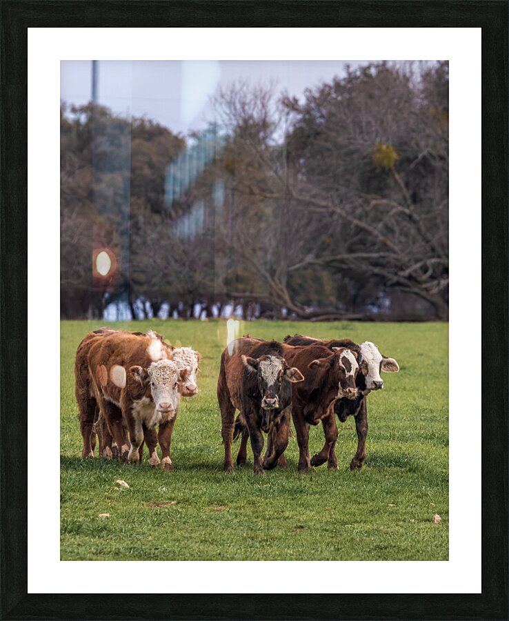 001088 Picture Frame print