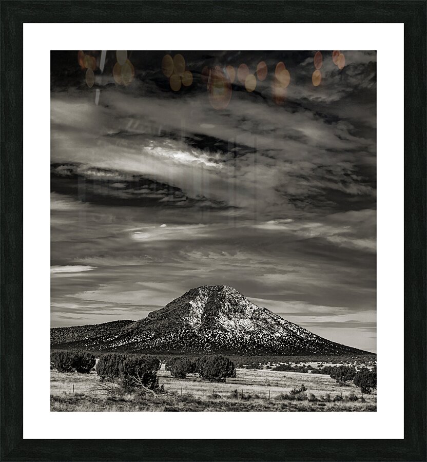 000667 Picture Frame print