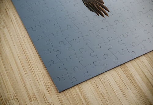 Pelican Blues 05 Connor White Media puzzle