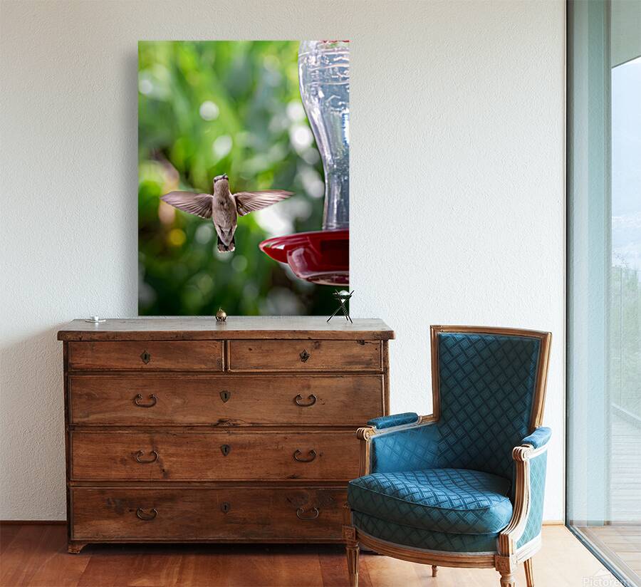 IMG 094400000 Reproduction