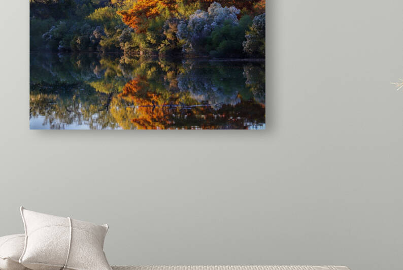 Mirrored Reflection by Connor White Media