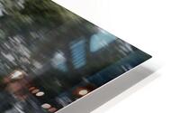 2731 HD Metal print