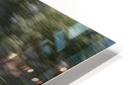 229 HD Metal print