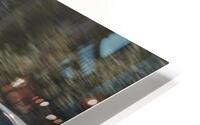  258 HD Metal print