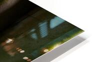 50103 HD Metal print