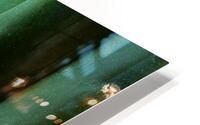 30102 HD Metal print