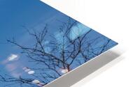 1476 HD Metal print