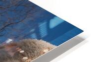 1075 HD Metal print